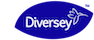 Дайверси